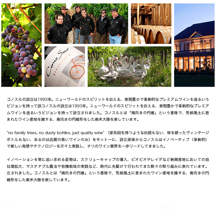 組み合わせ自由 コノスル ビシクレタ レゼルバ (ヴァラエタル) 12本 ワインセット チリ 750ml  飲み比べ【送料無料】 赤白ワインセット シャルドネ カベルネ シラー 飲み比べ 赤ワインセット 白ワインセット 選べる プレゼント にも おすすめ デイリーワインセット