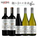 組み合わせ自由 コノスル グリーンソサエティ 6本 赤白ワインセット チリ 750ml 一部地域送料無料 おすすめ 初心者 シャルドネ カベルネ ソービニヨンブラン ピノノワール カルメネール おいしい おしゃれ ワンランク上 コノスルセット 飲み比べ 選べる