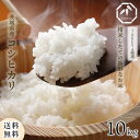 コシヒカリ 10kg 茨城県産 令和6年産 送料無料 こしひかり 単一原料米 10kg 米 コメ こめ お米