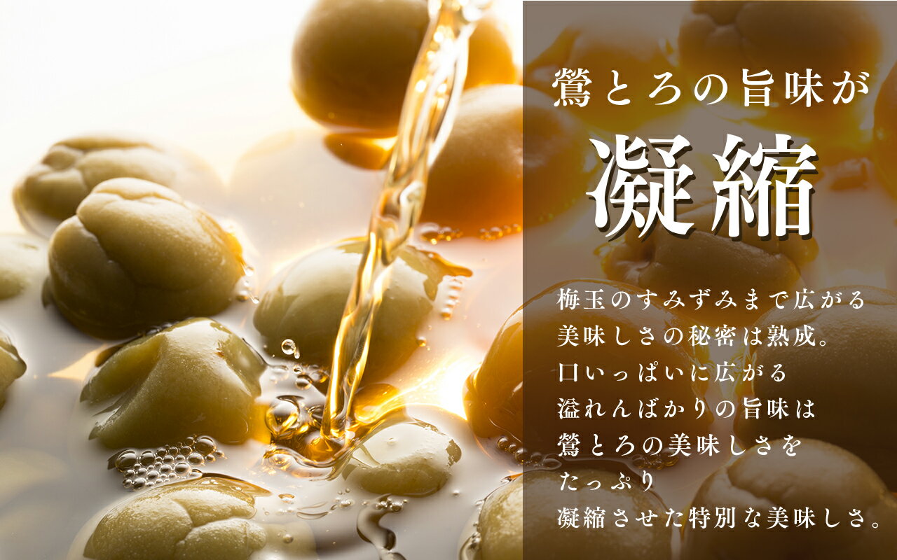 ���Ȥ����߶�