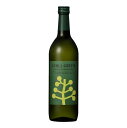 CHILL GREEN spicy&citrus (チルグリーン スパイシー&シトラス 25度) 720ml