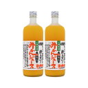 【2本セット】上門農園 みかんジュース 100% ストレート果汁(720ml×2本セット)ギフト箱付き(4)
