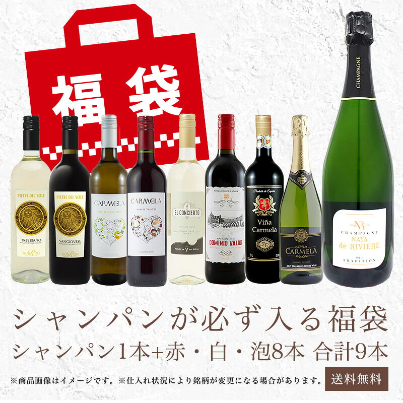 シャンパンが必ず入る！『ワイン福袋』欧州産ワイン9本入り 赤 白 泡 スパークリング ワイン お誕生日 お祝い【常温】[WT511]【3〜4営業日以内に出荷】[W] ワイン福袋 飲み比べ【送料無料】 sakemuseum-10023709 日本酒博物館 サンプル画像2