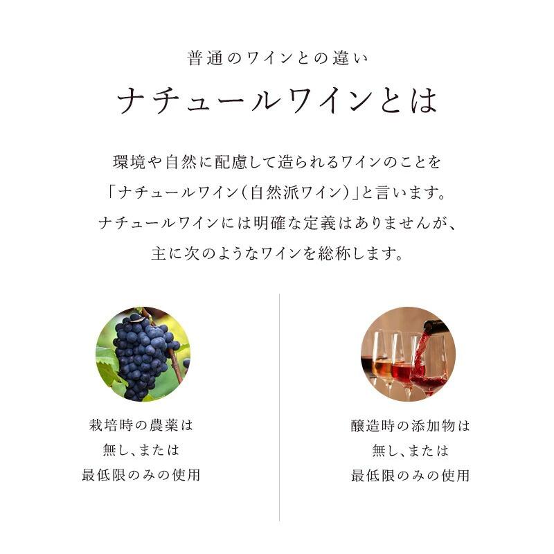 ナチュール ワイン レ ザスレット デュ ヴァン 4本セット ［冷蔵のみ］ワインアスリート 赤ワイン 白ワイン オーガニックワイン バレエ バレリーナ 発表会 スポーツ 【4〜5営業日以内に出荷】【送料無料】 [W][WT23] 母の日 父の日 ギフト sakemuseum-10023711 日本酒博物館 サンプル画像3