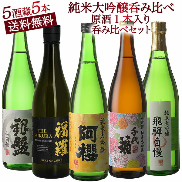 日本酒 飲み比べ 50％OFF 全国 お歳暮【送料無料】5酒