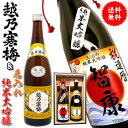 日本酒 名入れ 還暦 名前入れ 【 越乃寒梅 名入れ 純米大吟醸 720ml 2本 セット 】 贈り物 開店祝い 還暦祝い 男性 ギフト プレゼント 両親 上司 祖母 祖父 お父さん 父 お酒 酒 退職祝い 定年 退職 古希 祝い お祝い 古希祝い 誕生日 内祝い 送別会 名前入り 60代