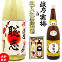 誕生日 日本酒 名入れ 還暦 名前入れ 【 越乃寒梅 名入れ 金箔酒 本醸造 2本 セット 】 開店祝い 還暦祝い 男性 ギフト プレゼント 両親 上司 父の日...