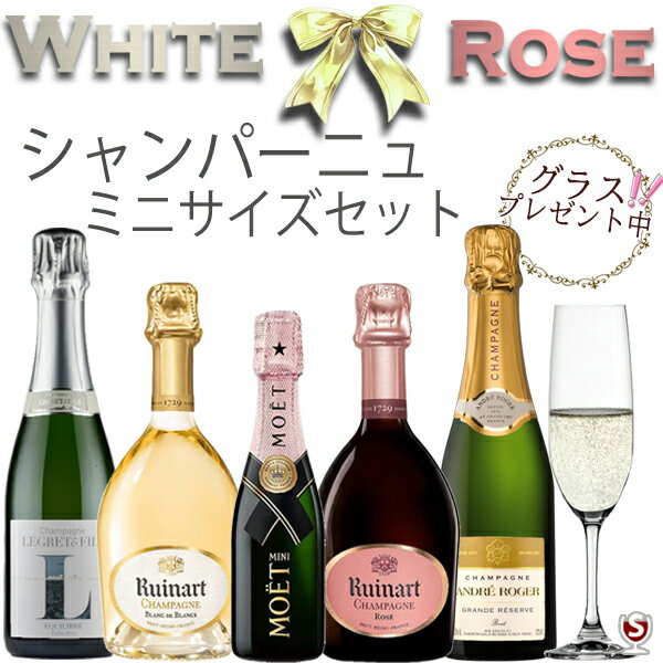 ミニ シャンパーニュ セット 白 ロゼ 飲み比べ モエ入り 375ml×4本 200ml×1本 MIX泡5本セット【送料及びクール代金無料】【D5-005】泡 ...
