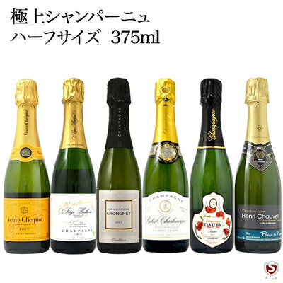 *極上シャンパーニュ　ハーフサイズ　375ml　飲みくらべ6本セット Part1【送料無料】【D6-005】