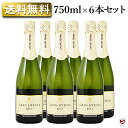 ハウメ・セラ　グラン・リベンサ　ブリュット　カヴァ　白泡　750ml×6本セット【通常便 送料無料】スパークリングワイン　ハウメセラ　グランリベンサ　東京実業貿易