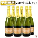 ハウメ・セラ グラン・リベンサ ブリュット・ナチュレ・カヴァ 泡白 750ml×6本セット【通常便 送料無料】スパークリングワイン ハウメセラ グランリベンサ ...