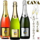 スペイン産スパークリングワイン カヴァ(カバ)ビニャ・サン・ホセ 泡3本セット【通常便 送料無料】【D3-003】