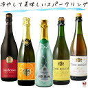 冷やして美味しいスパークリングワイン 泡5本セット【通常便 送料無料】【D5-008】