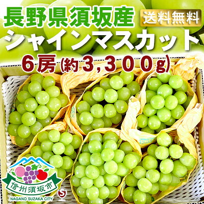 ※10月末頃の発送を予定しております。 ※天候等によりまれに種が入る場合がございます。 ※包装資材、箱は画像とは異なる場合がございます。 ※発送は通常便になります。（クール便ではございません） ※こちらの商品は送料無料商品ですが、 沖縄県、離島・一部地域の場合は送料が2200円、北海道・九州の場合は通常便で300円別途かかります。 システム上、送料無料となっていますがこちらで修正し請求させて頂きますのでご了承下さい。 ※代金引換をご利用の場合は代引手数料が別途かかります。当店 酒のさとうは、長野駅から車で約30分、 小布施、志賀高原方面に向かった須坂市にあります。 今回、私（店主：佐藤）の近所の農園から分けていただいた 人気のシャインマスカットをご紹介いたします。 須坂市、小布施市、高山村は総称して須高地区と呼ばれています。 水はけの良い土壌、澄んだ水、そして少雨地帯であるこの地域は、 雨が少なく映画撮影の都のハリウッドのなぞらえ、須高地区を「フルーツハリウッド須高」と呼んでいます。 酒屋の当店が、新鮮なシャインマスカットを 安くご案内できる理由は… その立地にあります！ お店の周りはぶどう畑ばかり！ ぶどう畑に囲まれています！ 店主 佐藤が、ご近所の農家さんから仕入れることで 実現できる品質とお値段です！ フレッシュで濃厚な甘みと芳醇な香りが自慢！ パリッと弾ける食感。 皮ごと食べられ、一度召し上がるとヤミツキになります。 シャインマスカット箱入り 贈答、お礼、自分へのご褒美に・・・