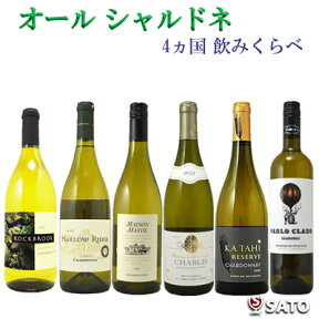 オール シャルドネ　4ヵ国 飲み比べ 白ワイン 6本セット【通常便　送料無料】【B6-005】