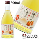 信州りんごフルーツワイン500ml　アルプスワイン