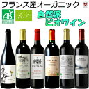 フランス産　自然派・ビオワイン　オーガニック飲み比べ　赤6本セット【通常便　送料無料】【A6-027】