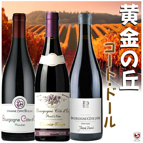 フランス ブルゴーニュ・コート・ドール 黄金の丘 飲み比べセット 赤3本【送料無料】【A3-022】