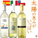 白ワイン 辛口 3本ワインセット 国別飲み比べ イタリア・スペイン・チリ【通常便 送料無料】【B3-006】テーブルワイン リーズナブル スクリューキャップ