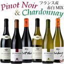 フランス産ワイン 赤白MIX ピノ・ノワール シャルドネ 飲み比べ ミックスセット 6本セット【通常便 送料無料】【E6-002】