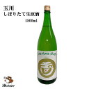 【クール便対応】 しぼりたて 生原酒 1800ml アルコール18%～18.9% 京都府 木下酒造 日本酒 地酒 お祝い ハレの日 家のみ 宅のみ キャンプ BBQ グランピング ギフト プレゼント 酒のたなか