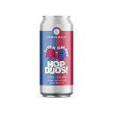 【1650→880 賞味期限:2025年5月31日】【クール便限定】 アザーハーフ Hop Duos! - Citra + Galaxy Hazy IPA 6....