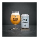 【クール限定】 うちゅうブルーイング 宇宙Relax HAZY PALE ALE 5.5% 350ml×1本 山梨県 北杜 ギフト クラフトビール ビール 宇宙...