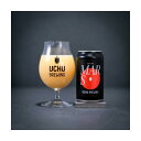 【7月20日入荷予定】【クール限定】 うちゅうブルーイング MARS DDH IPA 7% 350ml×1本 山梨県 北杜 ギフト クラフトビール ビール 宇宙...