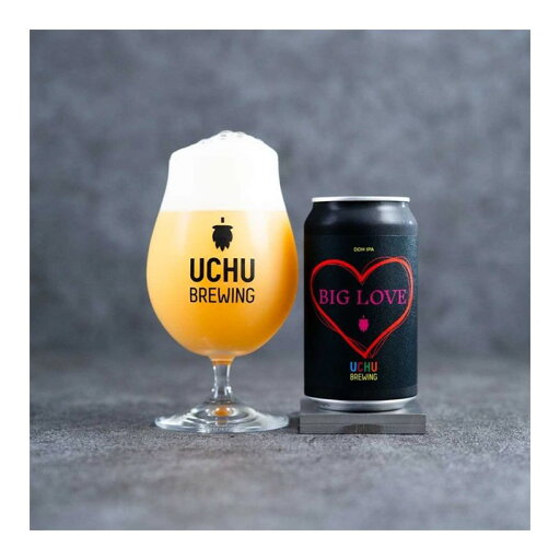 【クール限定】 うちゅうブルーイング BIG LOVE DDH IPA 6.5% 350ml×1本 山梨県 北杜 ギフト クラフトビール ビール 宇宙 酒のたなか 賞味期限:2025年11月8日