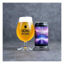 【クール限定】 うちゅうブルーイング Purple Dream DDH WEST COAST IPA 6.5% 350ml×1本 山梨県 北杜 ギフト クラフト...