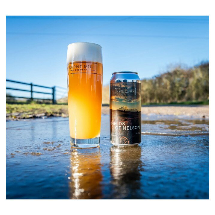 【クール便限定】バーントミル フィールズ オブ ネルソン IPA 6% 440ml イギリス 輸入ビール 珍しい 美味しい 宅のみ 家飲み おうち飲み ギフト おしゃれ缶 アート缶 酒のたなか 賞味期限:2026年1月6日