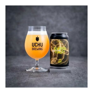 【クール限定】 うちゅうブルーイング スーパーヘイジー SUPER HAZY DDH DIPA 8% 350ml×1本 山梨県 北杜 ギフト クラフトビール ビール 宇宙 酒のたなか 賞味期限:2025年12月12日