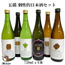 五橋 呑みの市 限定 日本酒 6本セット 720mlx6本 飲み比べセット 純米酒 酒井酒造 山口県 御祝 出産祝い プレゼント ギフト 記念酒 珍しい 美味しい 地酒 冷や酒 冷酒 酒のたなか お中元