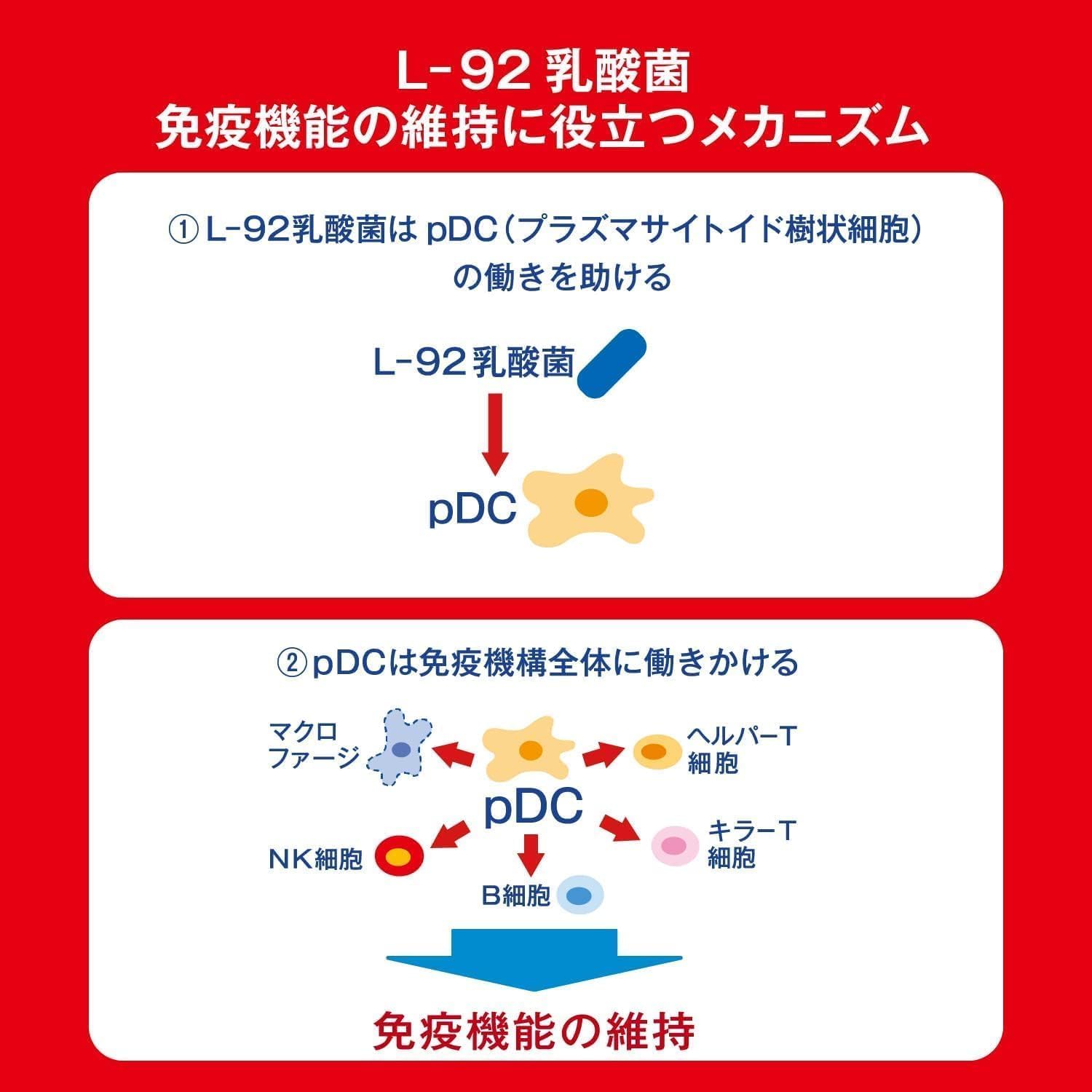 送料無料【1ケース 北海道・沖縄・東北は対象外...の紹介画像3