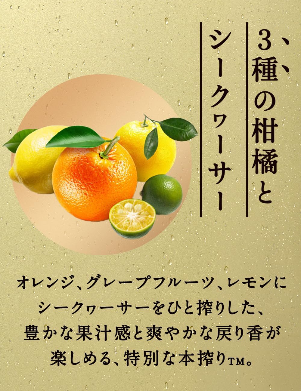 キリン 　本搾りプレミアム　3種の柑橘とシークヮ―サー500缶　1ケース　24本入りキリンビール