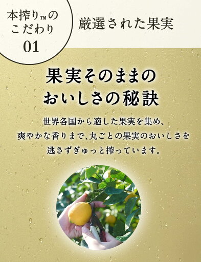 翠ジンソーダ 瀬戸内レモン搾り(24本入×2セット(1本350ml))