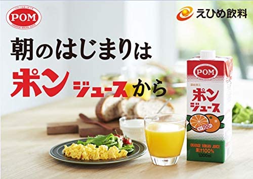 【送料無料 一部地域除く】えひめ飲料POM ポンジュース 1000ml紙パック3ケース　6本入り×3 2