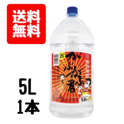 送料無料　晩酌焼酎　がぶがぶ君　25度　5L　ペットボトル　1本　乙類　大容量　あなたにひとめぼれ　都城酒造　コーンスターチ　麦こうじ