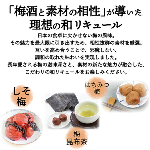 【和モダン感じる新しい梅酒】緑茶の梅酒 720ml 紀州 和歌山 中野BC 梅酒 緑茶梅酒 12度 南高梅 宇治緑茶 ロック ソーダ割り 湯割り 水割り 家飲み パーティ 女子会 箱なし