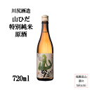 熟成古酒 特別純米 山ひだ 原酒 2017BY 720ml瓶 お酒 日本酒 清酒 岐阜県 飛騨高山 川尻酒造場 古酒 熟成酒 家飲み 通好み 冷酒 辛口