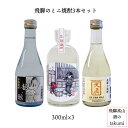 飛騨のミニ地焼酎3本セット 300ml 3本 焼酎 岐阜県 飛騨 飲み比べ 地酒 贈り物 お土産 龍の瞳 ベーゴマ 天真 麦 