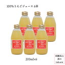 ふじりんごジュース（岐阜県産・長野県産）果汁100％　200ml×6本