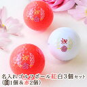 名入れゴルフボール紅白【3個】セット/還暦 ゴルフ/カラーゴルフボール 白ボール1個と赤ボール2個の紅白セット/ボールはキャスコ kasco/お祝いデザイン/ボールに名入れOK!/無地のし紙入り/誕生日祝いや還暦祝い、コンペ商品などにも最適!