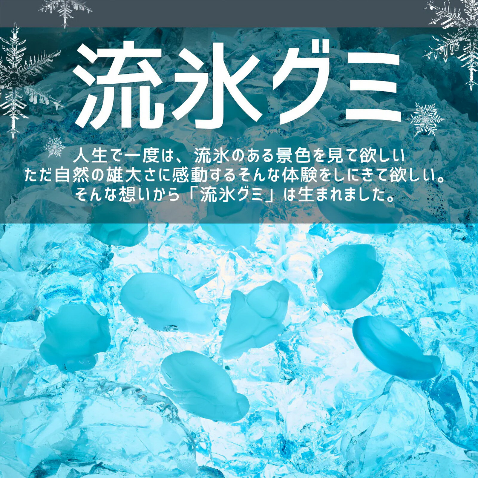 【新発売】流氷グミの紹介画像3