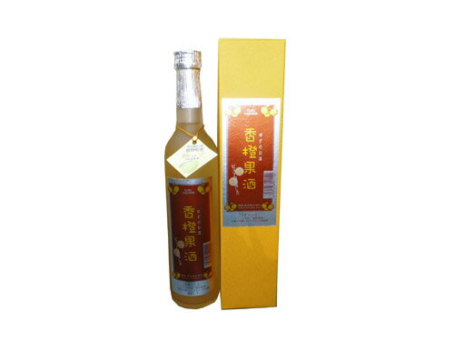 ļ¤椺500ml