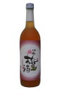 中野BC　中野梅酒　720ml　アウトレット