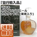 【送料無料】マスネ ポムプリゾニエール カルヴァドス (果実入り) 40度 700ml [並行輸入品]