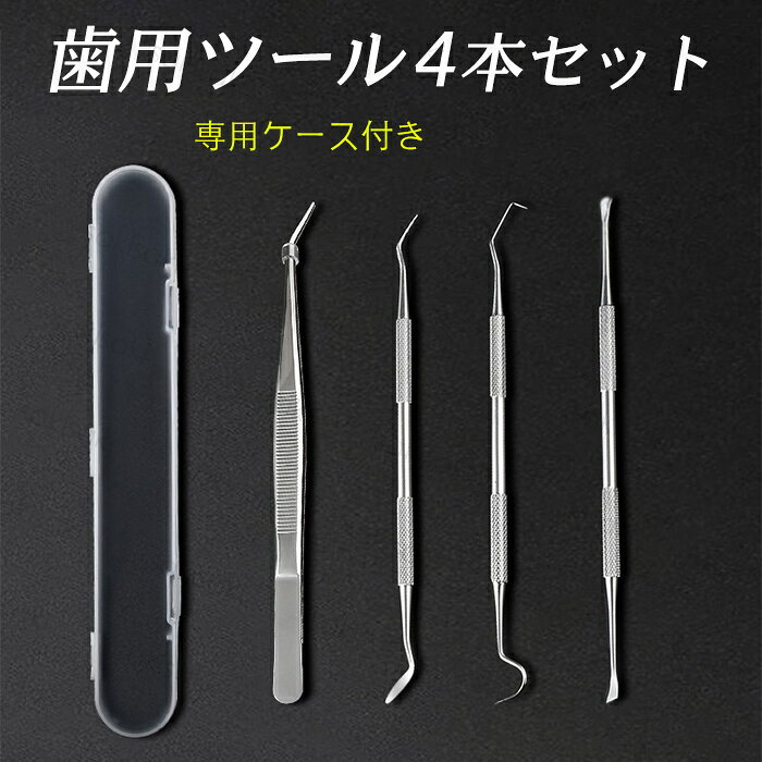 楽天市場】歯石 スケーラーセットの通販