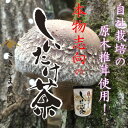 しいたけ茶 プルトップ缶 40g