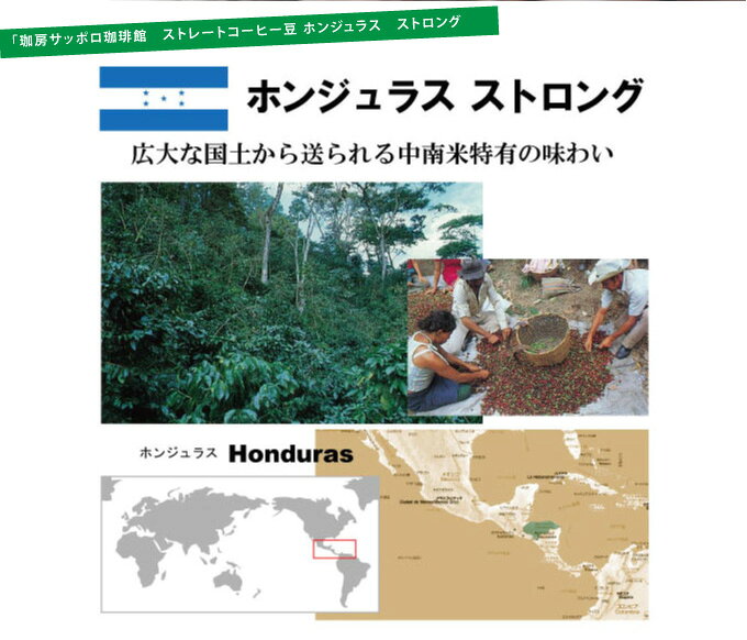 珈房サッポロ珈琲館直送便【送料無料】ストレート...の紹介画像3